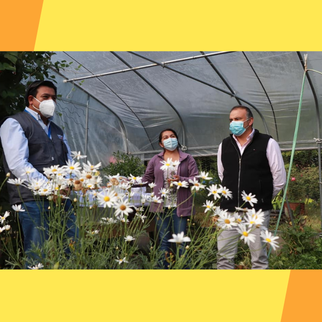 ALAMEÑAS EXHIBIERON SUS EMPRENDIMIENTOS AGRÍCOLAS Y TURÍSTICOS A INDAP